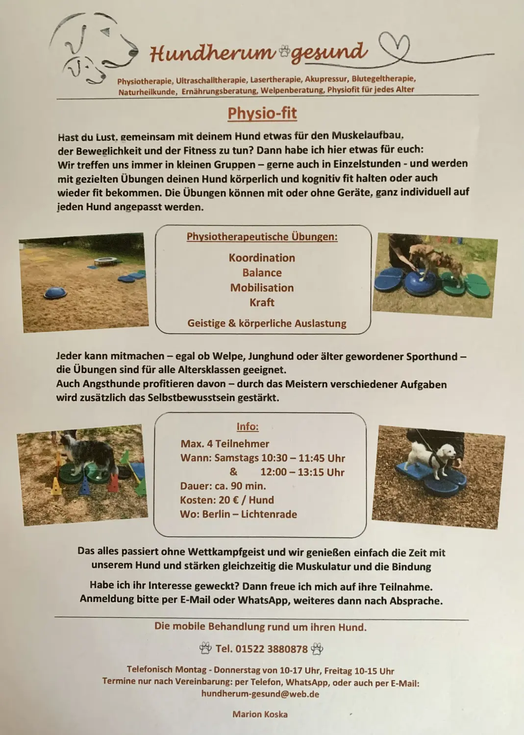 Berlin, Welpenberatung, Hunde Ernährungsberatung